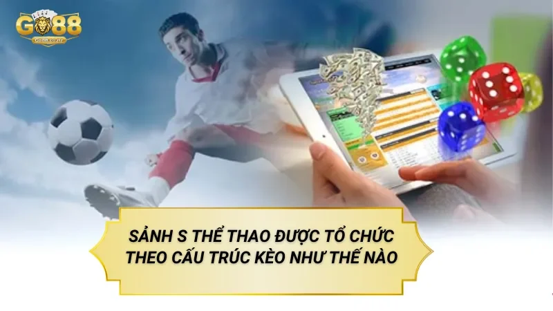 Sảnh S Thể Thao Được Tổ Chức Theo Cấu Trúc Kèo Như Thế Nào