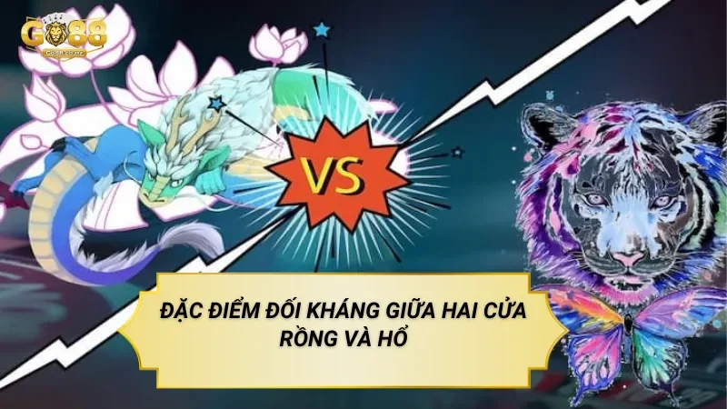 Đặc điểm đối kháng giữa hai cửa rồng và hổ