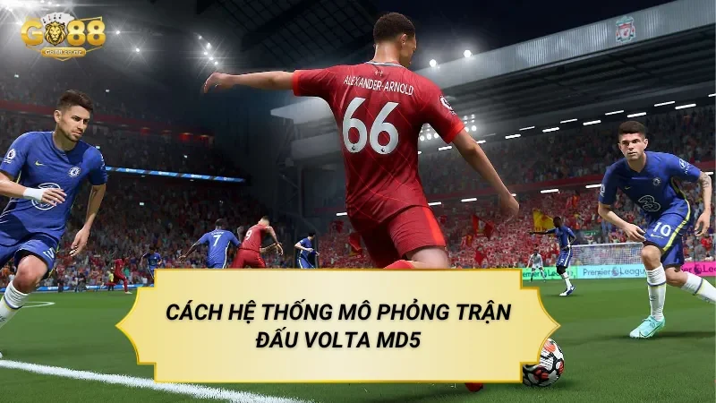 Cách Hệ Thống Mô Phỏng Trận Đấu Volta MD5