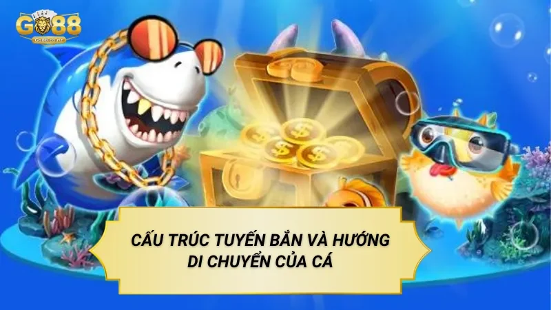 Cấu Trúc Tuyến Bắn Và Hướng Di Chuyển Của Cá
