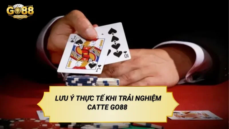 Lưu Ý Thực Tế Khi Trải Nghiệm Catte Go88
