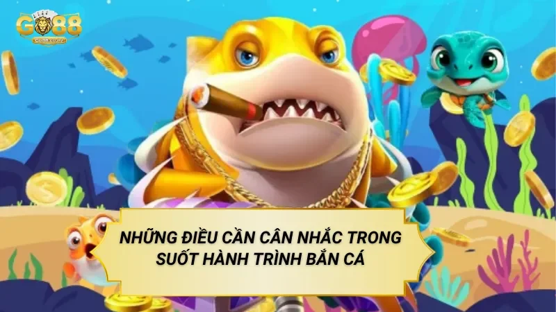 Những Điều Cần Cân Nhắc Trong Suốt Hành Trình Bắn Cá