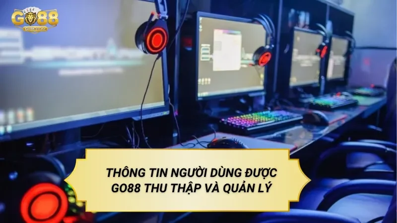 Thông Tin Người Dùng Được Go88 Thu Thập Và Quản Lý